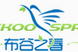 武汉除甲醛公司：湖北布谷鸟环境工程有限公司（52cuckoo.net）