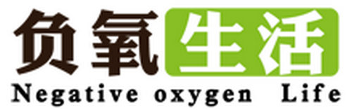 北京专业除甲醛公司：负氧生活空气治理中心